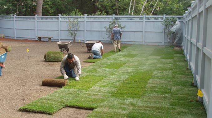 Markham Toronto Commercial sodding Services